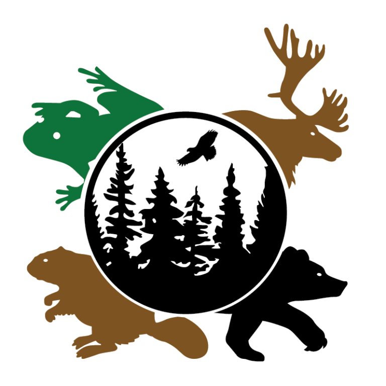 Ts’ilKazKoh_Logo