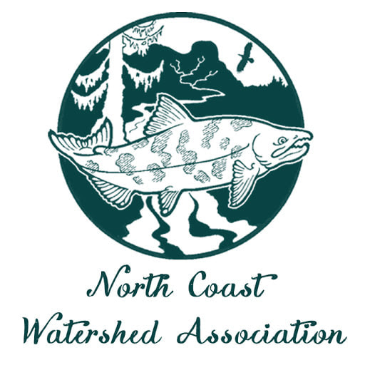 ncwa-logo_orig