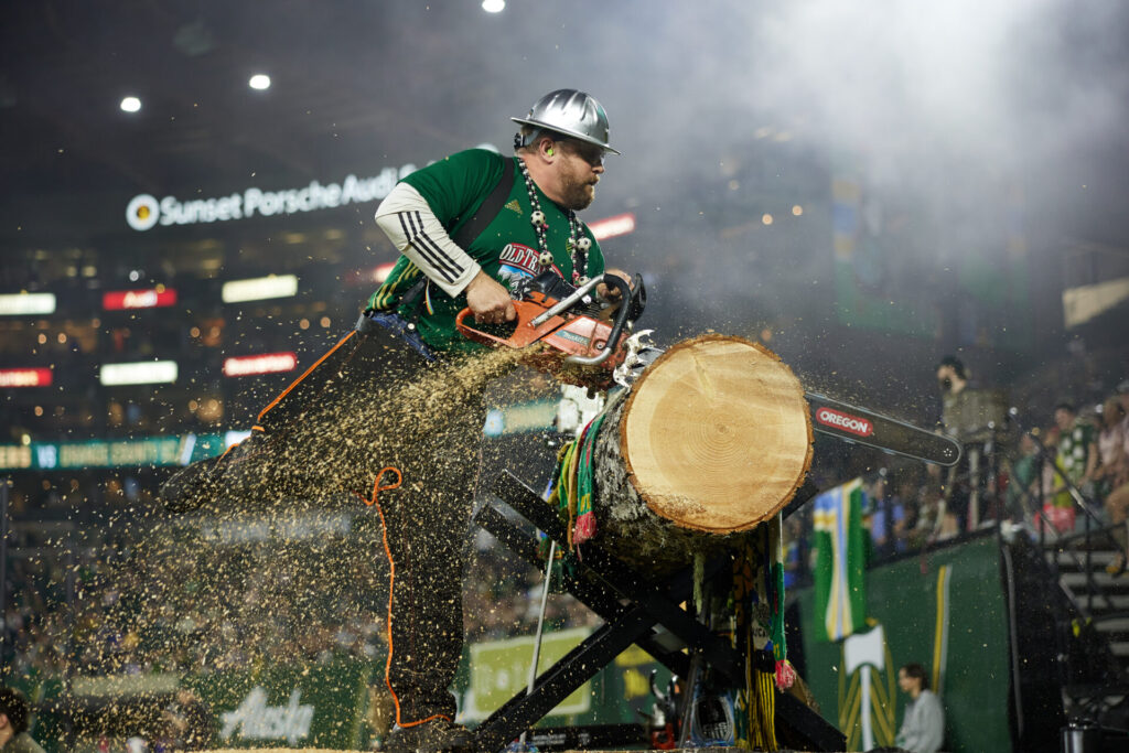 Timber Joey Chainsaw